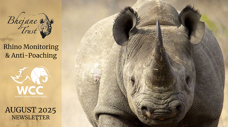 The Dry Season Tightens It’s Grip and With It Comes Rising Poacher Pressure