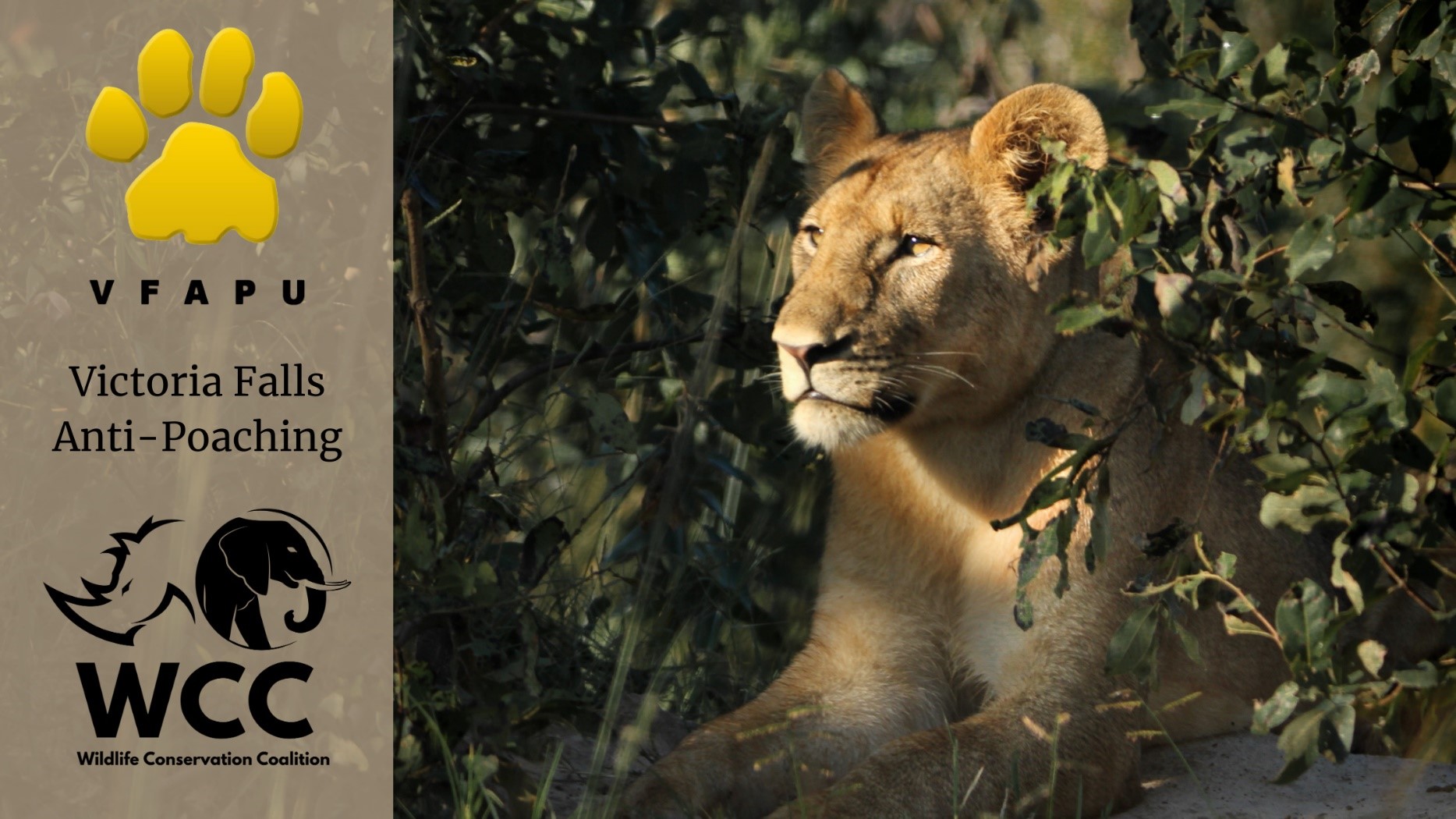 VFAPU: A Tragic Month For Victoria Falls