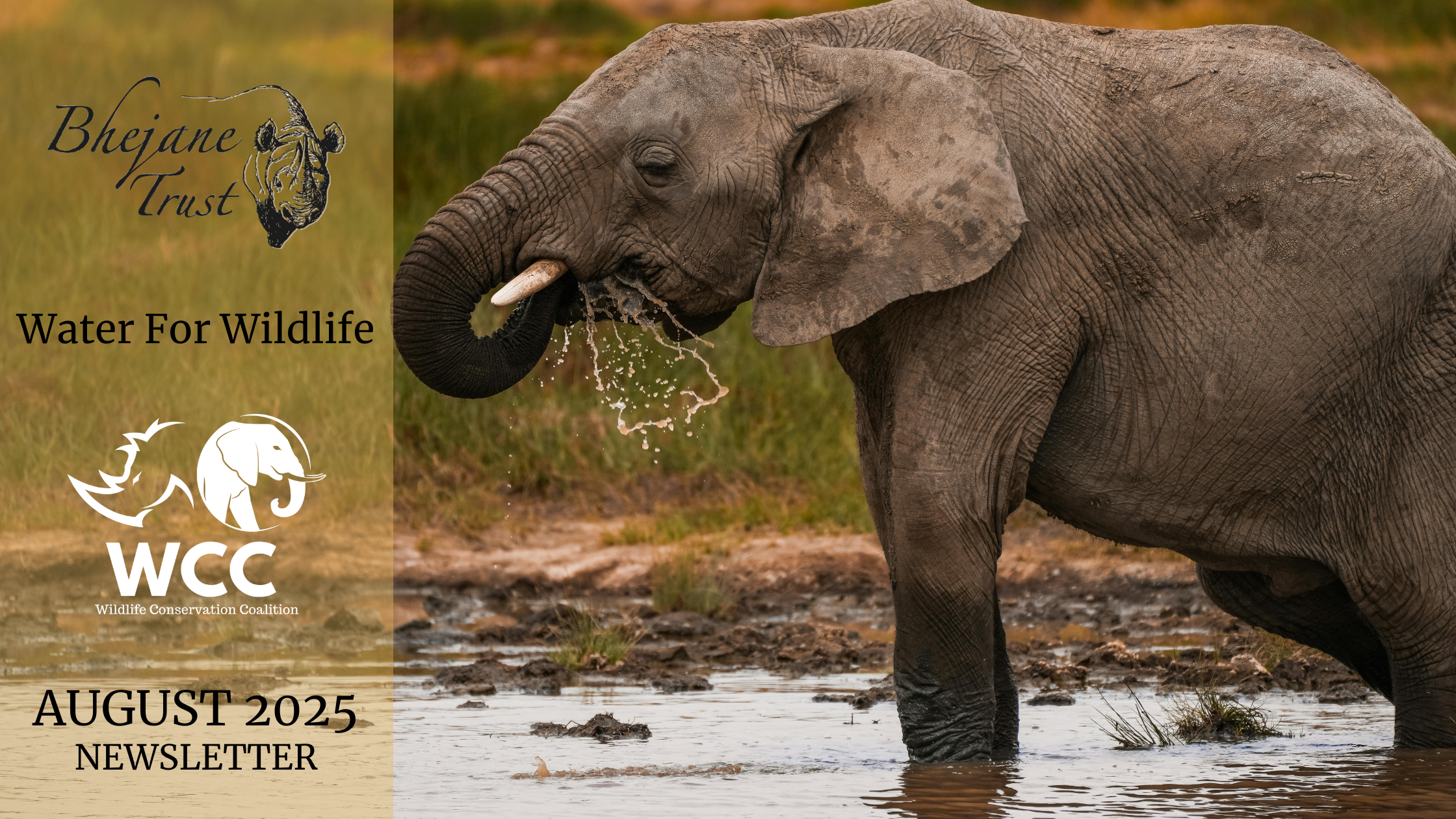 Bhejane: Dry Season Is Here – Water Demand Is At It’s Peak