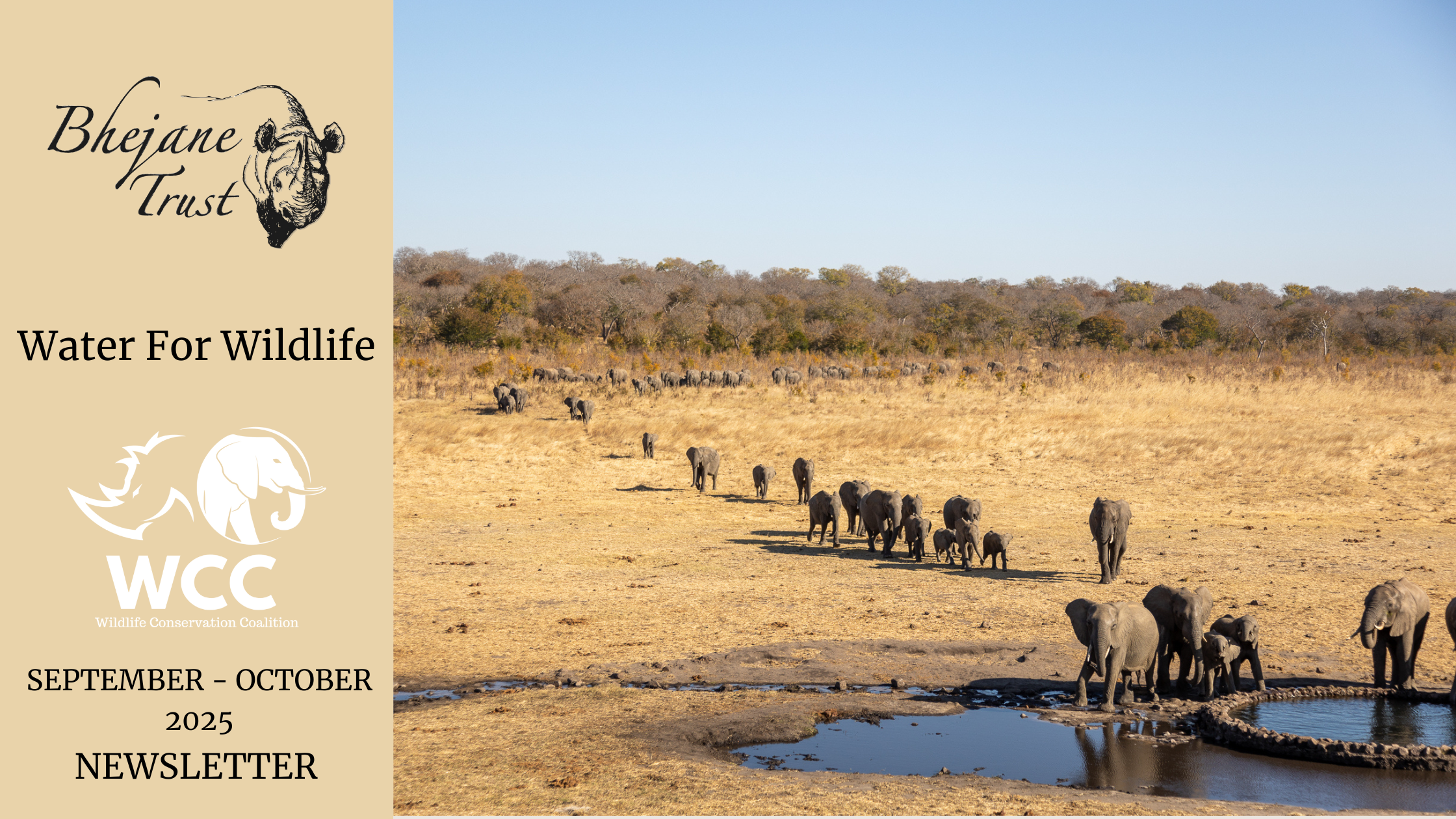 Bhejane: The Rains Are Here And The Wild Is Buzzing With Life