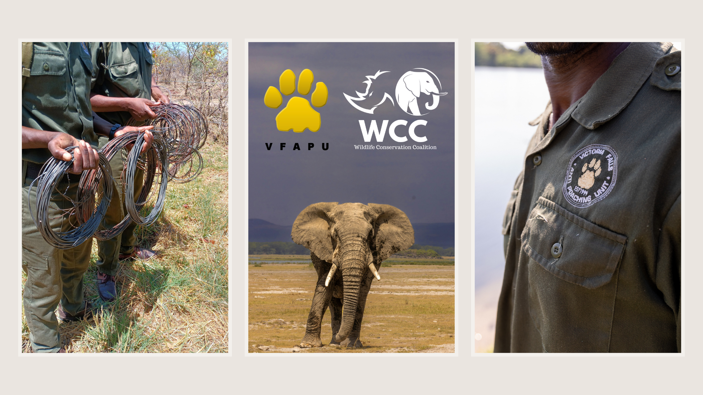 VFAPU: Intelligence Continues To Produce Results