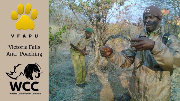 VFAPU: Bush Meat Dominates Our Month