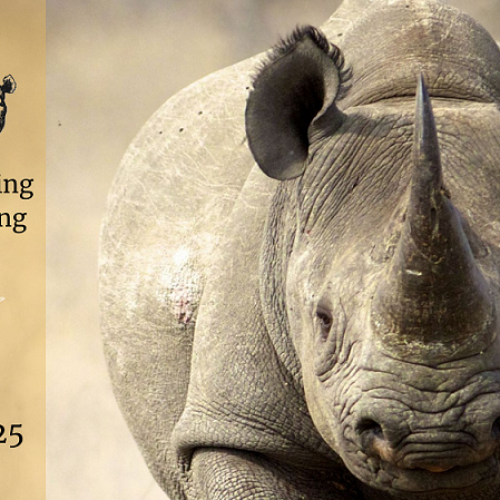 The Dry Season Tightens It’s Grip and With It Comes Rising Poacher Pressure