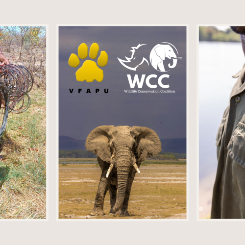 VFAPU: Intelligence Continues To Produce Results