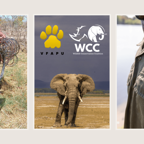 VFAPU: Intelligence Continues To Produce Results