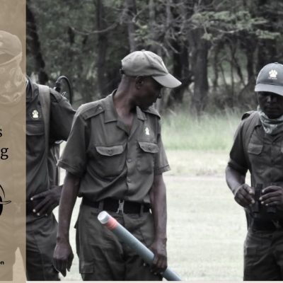 VFAPU: From Peace And Tranquility To Poaching Chaos