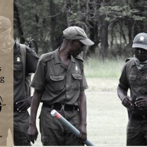 VFAPU: From Peace And Tranquility To Poaching Chaos