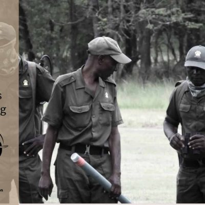 VFAPU: From Peace And Tranquility To Poaching Chaos