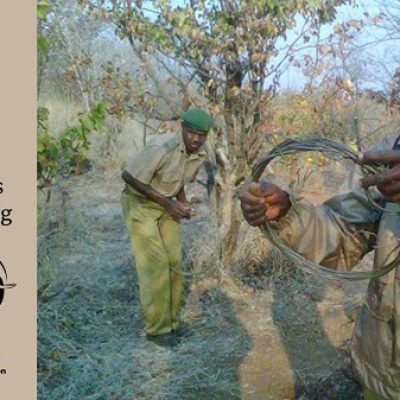 VFAPU: Bush Meat Dominates Our Month