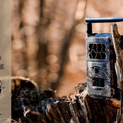 VFAPU: As The Rain Subsides, The Threat Grows